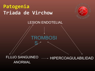 Patogenia
Triada de Virchow
LESION ENDOTELIAL
TROMBOSI
S
FLUJO SANGUINEO
ANORMAL
HIPERCOAGULABILIDAD
 