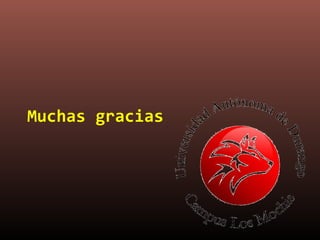 Muchas gracias
 