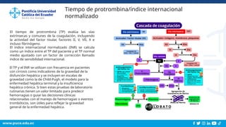 Trastornos Hemostáticos en la Cirrosis Hepática: Diagnóstico y Manejo ...