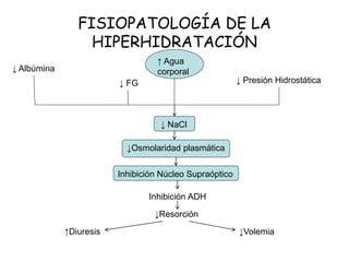 FISIOPATOLOGÍA DE LA
HIPERHIDRATACIÓN
↑ Agua
corporal↓ Albúmina
↓ FG ↓ Presión Hidrostática
↓ NaCl
↓Osmolaridad plasmática
Inhibición Núcleo Supraóptico
Inhibición ADH
↓Resorción
↑Diuresis ↓Volemia
 