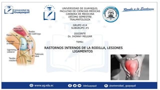 UNIVERSIDAD DE GUAYAQUIL
FACULTAD DE CIENCIAS MÉDICAS
CARRERA DE MEDICINA
DÉCIMO SEMESTRE
TRAUMATOLOGÍA
GRUPO #14
SUBGRUPO #5
DOCENTE
Dr. JHONNY MELGAR
TEMA:
TRASTORNOS INTERNOS DE LA RODILLA, LESIONES
LIGAMENTOS
 