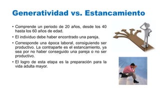 Generatividad vs. Estancamiento
• Comprende un periodo de 20 años, desde los 40
hasta los 60 años de edad.
• El individuo debe haber encontrado una pareja.
• Corresponde una época laboral, consiguiendo ser
productivo. La contraparte es el estancamiento, ya
sea por no haber conseguido una pareja o no ser
productivo.
• El logro de esta etapa es la preparación para la
vida adulta mayor.
 