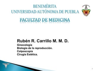 1
Rubén R. Carrillo M. M. D.
Ginecología
Biología de la reproducción.
Colposcopia
Cirugía Estética.
 