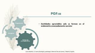 Síntesis de
prostaglandinas
Estrógenos
Progesterona
PGF2a
• Cantidades apreciables solo se forman en el
endometrio avanzadamente secretor
Llusia Botella J. El utero fisiología y patología, Editorial Díaz de Santos , Madrid, España
 