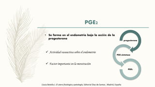 PGE2
• Se forma en el endometrio bajo la acción de la
progesterona
progesterona
PGE sintetasa
PGE2
 Actividad vasoactiva sobre el endometrio
 Factor importante en la menstración
Llusia Botella J. El utero fisiología y patología, Editorial Díaz de Santos , Madrid, España
 