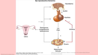 Alfredo Daniel Gonzákez Rivera
Hoffman B, Schorge J, Bradshaw K. Williams. Ginecología. 4ª ed. Distrito Federal: McGraw-
Hill Interamericana; 2020.
 