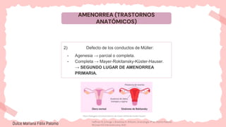 AMENORREA (TRASTORNOS
ANATÓMICOS)
2) Defecto de los conductos de Müller:
- Agenesia → parcial o completa.
- Completa → Mayer-Rokitansky-Küster-Hauser.
→ SEGUNDO LUGAR DE AMENORREA
PRIMARIA.
https://babygest.com/es/sindrome-de-mayer-rokitansky-kuster-hauser/
Dulce Mariana Félix Palomo Hoffman B, Schorge J, Bradshaw K. Williams. Ginecología. 4ª ed. Distrito Federal:
McGraw-Hill Interamericana; 2020.
 