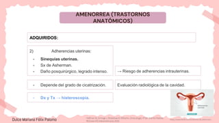 AMENORREA (TRASTORNOS
ANATÓMICOS)
ADQUIRIDOS:
2) Adherencias uterinas:
- Sinequias uterinas.
- Sx de Asherman.
- Daño posquirúrgico, legrado intenso. → Riesgo de adherencias intrauterinas.
https://www.fertilt.com/sindrome-de-asherman/
- Depende del grado de cicatrización. Evaluación radiológica de la cavidad.
- Dx y Tx → histeroscopia.
Dulce Mariana Félix Palomo Hoffman B, Schorge J, Bradshaw K. Williams. Ginecología. 4ª ed. Distrito Federal:
McGraw-Hill Interamericana; 2020.
 