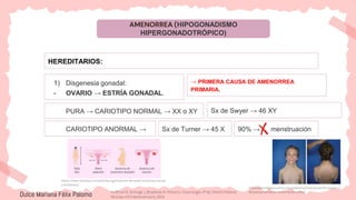 AMENORREA (HIPOGONADISMO
HIPERGONADOTRÓPICO)
HEREDITARIOS:
1) Disgenesia gonadal:
- OVARIO → ESTRÍA GONADAL.
→ PRIMERA CAUSA DE AMENORREA
PRIMARIA.
https://www.reproduccionasistida.org/sindrome-de-swyer-sintomas-causas-
y-embarazo/
PURA → CARIOTIPO NORMAL → XX o XY Sx de Swyer → 46 XY
CARIOTIPO ANORMAL → Sx de Turner → 45 X 90% → menstruación
https://paradigmia.com/curso/pediatria/modulos/embriopatias-y-
fetopatias/temas/el-sindrome-de-turner/
Dulce Mariana Félix Palomo Hoffman B, Schorge J, Bradshaw K. Williams. Ginecología. 4ª ed. Distrito Federal:
McGraw-Hill Interamericana; 2020.
 