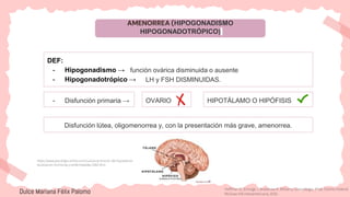 AMENORREA (HIPOGONADISMO
HIPOGONADOTRÓPICO)
DEF:
- Hipogonadismo →
- Hipogonadotrópico →
- Disfunción primaria →
función ovárica disminuida o ausente
Disfunción lútea, oligomenorrea y, con la presentación más grave, amenorrea.
LH y FSH DISMINUIDAS.
OVARIO HIPOTÁLAMO O HIPÓFISIS
Dulce Mariana Félix Palomo
https://www.psicologia-online.com/cual-es-la-funcion-del-hipotalamo-
localizacion-hormonas-y-enfermedades-5302.html
Hoffman B, Schorge J, Bradshaw K. Williams. Ginecología. 4ª ed. Distrito Federal:
McGraw-Hill Interamericana; 2020.
 