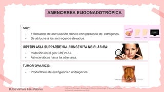 AMENORREA EUGONADOTRÓPICA
SOP:
- + frecuente de anovulación crónica con presencia de estrógenos.
- Se atribuye a los andrógenos elevados.
Dulce Mariana Félix Palomo
HIPERPLASIA SUPRARRENAL CONGÉNITA NO CLÁSICA:
- mutación en el gen CYP21A2.
- Asintomáticas hasta la adrenarca.
TUMOR OVÁRICO:
- Productores de estrógenos o andrógenos.
Hoffman B, Schorge J, Bradshaw K. Williams. Ginecología. 4ª ed. Distrito Federal:
McGraw-Hill Interamericana; 2020.
 