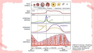 Hoffman B, Schorge J, Bradshaw
K. Williams. Ginecología. 3ª ed.
Distrito Federal: McGraw-Hill
Interamericana; 2017.
 