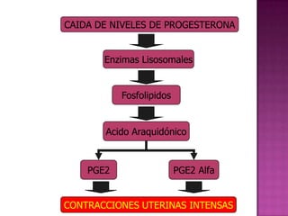 CAIDA DE NIVELES DE PROGESTERONA


       Enzimas Lisosomales


           Fosfolipidos


       Acido Araquidónico



    PGE2                  PGE2 Alfa


CONTRACCIONES UTERINAS INTENSAS
 