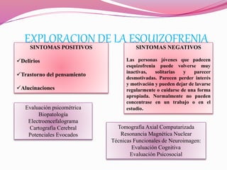 EXPLORACION DE LA ESQUIZOFRENIASINTOMAS POSITIVOS
Delirios
Trastorno del pensamiento
Alucinaciones
SINTOMAS NEGATIVOS
Las personas jóvenes que padecen
esquizofrenia puede volverse muy
inactivas, solitarias y parecer
desmotivadas. Parecen perder interés
y motivación y pueden dejar de lavarse
regularmente o cuidarse de una forma
apropiada. Normalmente no pueden
concentrase en un trabajo o en el
estudio.Evaluación psicométrica
Biopatología
Electroencefalograma
Cartografía Cerebral
Potenciales Evocados
Tomografía Axial Computarizada
Resonancia Magnética Nuclear
Técnicas Funcionales de Neuroimagen:
Evaluación Cognitiva
Evaluación Psicosocial
 
