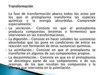 Transformación
La fase de transformación abarca todos los actos por
los que el protoplasma transforma las especies
químicas y la energía absorbidas. Comprende
especialmente:
 La secreción.- Consiste en que el protoplasma
produzca compuestos (enzimas o fermentos) que
intervienen en las transformaciones.
 La digestión.- Consiste en hacer solubles las sustancias
absorbidas que las pone en condiciones de entrar en
reacción con formación de otras sustancias químicas.
 La asimilación.- Consiste en que el protoplasma se
transforme en algunos de sus componentes propios.
 La desasimilación.- Consiste en que en el protoplasma
se desintegra parte de sus componentes o de sus
reservas, de los que resultan los compuestos y la
energía que interviene en la asimilación.
 