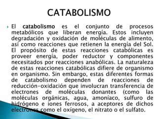  El catabolismo es el conjunto de procesos
metabólicos que liberan energía. Estos incluyen
degradación y oxidación de moléculas de alimento,
así como reacciones que retienen la energía del Sol.
El propósito de estas reacciones catabólicas es
proveer energía, poder reductor y componentes
necesitados por reacciones anabólicas. La naturaleza
de estas reacciones catabólicas difiere de organismo
en organismo. Sin embargo, estas diferentes formas
de catabolismo dependen de reacciones de
reducción-oxidación que involucran transferencia de
electrones de moléculas donantes (como las
moléculas orgánicas, agua, amoníaco, sulfuro de
hidrógeno e iones ferrosos, a aceptores de dichos
electrones como el oxígeno, el nitrato o el sulfato.
 