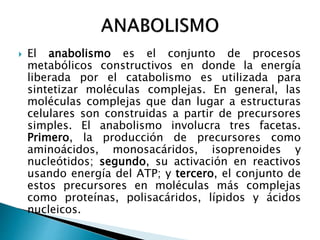  El anabolismo es el conjunto de procesos
metabólicos constructivos en donde la energía
liberada por el catabolismo es utilizada para
sintetizar moléculas complejas. En general, las
moléculas complejas que dan lugar a estructuras
celulares son construidas a partir de precursores
simples. El anabolismo involucra tres facetas.
Primero, la producción de precursores como
aminoácidos, monosacáridos, isoprenoides y
nucleótidos; segundo, su activación en reactivos
usando energía del ATP; y tercero, el conjunto de
estos precursores en moléculas más complejas
como proteínas, polisacáridos, lípidos y ácidos
nucleicos.
 