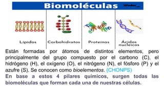 Chonps Bioelementos TRASTORNOS METABOLICOS Lic Celia.pptx