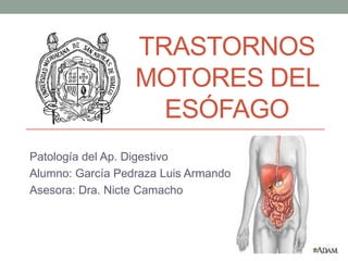 TRASTORNOS
MOTORES DEL
ESÓFAGO
Patología del Ap. Digestivo
Alumno: García Pedraza Luis Armando
Asesora: Dra. Nicte Camacho
 