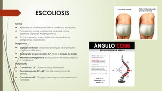 TRASTORNOS OSTEOMUSCULARES EVALUACION II | PPTX