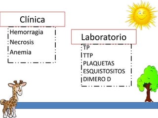 Clínica
Hemorragia
Necrosis
             Laboratorio
             TP
Anemia       TTP
             PLAQUETAS
             ESQUISTOSITOS
             DIMERO D
 