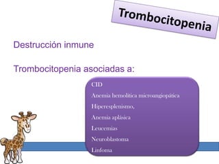 Destrucción inmune

Trombocitopenia asociadas a:
                  CID
                  Anemia hemolítica microangiopática
                  Hiperesplenismo,
                  Anemia aplásica
                  Leucemias
                  Neuroblastoma
                  Linfoma
 