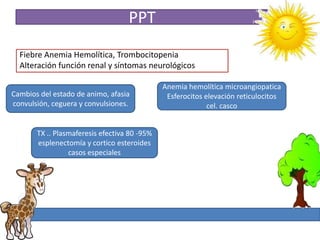 PPT
  Fiebre Anemia Hemolítica, Trombocitopenia
  Alteración función renal y síntomas neurológicos

                                              Anemia hemolítica microangiopatica
Cambios del estado de animo, afasia            Esferocitos elevación reticulocitos
convulsión, ceguera y convulsiones.                         cel. casco


       TX .. Plasmaferesis efectiva 80 -95%
       esplenectomía y cortico esteroides
                 casos especiales
 