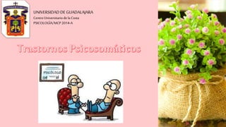 UNIVERSIDAD DE GUADALAJARA
CentroUniversitariode laCosta
PSICOLOGÌA/MCP2014-A
 
