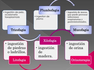 • ingestión de pelo,
ocasionaría
toxoplasmosis
Tricofagia
• ingestion de
plomo
Plumbofagia
• ingestión de mocos,
que puede provocar
infecciones
respiratorias y
gastrointestinales.
Mucofagia
• ingestión
de piedras
o ladrillos.
Litofagia
• ingestión
de
madera.
Xilofagia
• ingestión
de orina
Orinoterapia
 
