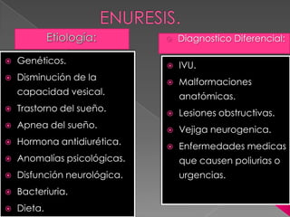  Genéticos.
 Disminución de la
capacidad vesical.
 Trastorno del sueño.
 Apnea del sueño.
 Hormona antidiurética.
 Anomalías psicológicas.
 Disfunción neurológica.
 Bacteriuria.
 Dieta.
 Diagnostico Diferencial:
 IVU.
 Malformaciones
anatómicas.
 Lesiones obstructivas.
 Vejiga neurogenica.
 Enfermedades medicas
que causen poliurias o
urgencias.
 