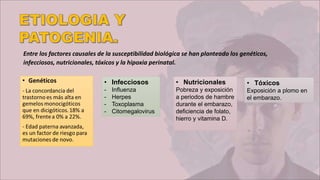 Entre los factores causales de la susceptibilidad biológica se han planteado los genéticos,
infecciosos, nutricionales, tóxicos y la hipoxia perinatal.
• Nutricionales
Pobreza y exposición
a periodos de hambre
durante el embarazo,
deficiencia de folato,
hierro y vitamina D.
• Infecciosos
- Influenza
- Herpes
- Toxoplasma
- Citomegalovirus
• Tóxicos
Exposición a plomo en
el embarazo.
 