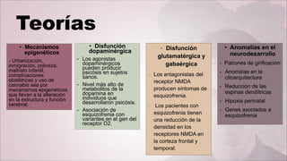 • Disfunción
glutamatérgica y
gabaérgica
- Los antagonistas del
receptor NMDA
producen síntomas de
esquizofrenia.
- Los pacientes con
esquizofrenia tienen
una reducción de la
densidad en los
receptores NMDA en
la corteza frontal y
temporal.
• Disfunción
dopaminérgica
- Los agonistas
dopaminérgicos
pueden producir
psicósis en sujetos
sanos.
- Nivel más alto de
metabolitos de la
dopamina en
individuos que
desarrollaron psicósis.
- Asociación de
esquizofrenia con
variantes en el gen del
receptor D2.
• Mecanismos
epigenéticos
- Urbanización,
inmigración, pobreza,
maltrato infantil,
complicaciones
obstétricas y uso de
cannabis sea por
mecanismos epigenéticos
que llevan a la alteración
en la estructura y función
cerebral.
• Anomalías en el
neurodesarrollo
- Patrones de girificación
- Anomaías en la
citoarquitectura
- Reducción de las
espinas dendítricas
- Hipoxia perinatal
- Genes asociados a
esquizofrenia
 