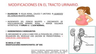 trastornos-renales-y-de-las-vias-urinarias-y-embarazo-ivu-pptx