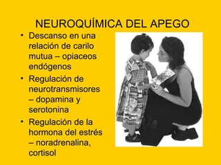 Descanso en una relación de carilo mutua – opiaceos endógenos Regulación de neurotransmisores – dopamina y serotonina Regulación de la hormona del estrés – noradrenalina, cortisol NEUROQUÍMICA DEL APEGO 