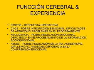 FUNCCIÓN CEREBRAL & EXPERIENCIA STRESS – RESPUESTA HIPERACTIVA  CAOS – POBRE INTEGRACIÓN SENSORIAL, DIFICULTADES DE ATENCIÓN Y PROBLEMAS EN EL PROCESAMIENTO NEGLIGENCIA – POBRE REGULACIÓN EMOCIONAL, DEFICIENCIA EN ELPROCESAMIENTO DE LA INFORMACIÓN SOCIOEMOCIONAL  ABUSE – POBRE REGULACIÓN DE LA IRA, AGRESIVIDAD, IMPULSIVIDAD, ANSIEDAD; DEFICIENCIA EN LA COMPRENSIÓN EMOCIONAL 