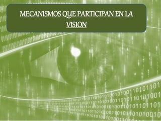 MECANISMOS QUE PARTICIPAN EN LA
VISION
 