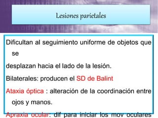 Dificultan al seguimiento uniforme de objetos que
se
desplazan hacia el lado de la lesión.
Bilaterales: producen el SD de Balint
Ataxia óptica : alteración de la coordinación entre
ojos y manos.
Apraxia ocular: dif para iniciar los mov oculares
Lesiones parietales
 