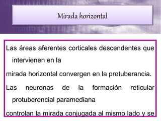 Las áreas aferentes corticales descendentes que
intervienen en la
mirada horizontal convergen en la protuberancia.
Las neuronas de la formación reticular
protuberencial paramediana
controlan la mirada conjugada al mismo lado y se
Mirada horizontal
 