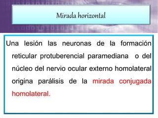 Una lesión las neuronas de la formación
reticular protuberencial paramediana o del
núcleo del nervio ocular externo homolateral
origina parálisis de la mirada conjugada
homolateral.
Mirada horizontal
 