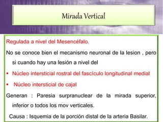 Regulada a nivel del Mesencéfalo.
No se conoce bien el mecanismo neuronal de la lesion , pero
si cuando hay una lesión a nivel del
 Núcleo intersticial rostral del fascículo longitudinal medial
 Núcleo intersticial de cajal
Generan : Paresia surpranuclear de la mirada superior,
inferior o todos los mov verticales.
Causa : Isquemia de la porción distal de la arteria Basilar.
Mirada Vertical
 