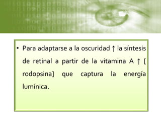 • Para adaptarse a la oscuridad ↑ la síntesis
de retinal a partir de la vitamina A ↑ [
rodopsina] que captura la energía
lumínica.
 
