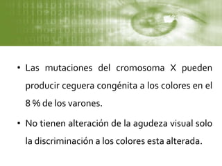 • Las mutaciones del cromosoma X pueden
producir ceguera congénita a los colores en el
8 % de los varones.
• No tienen alteración de la agudeza visual solo
la discriminación a los colores esta alterada.
 