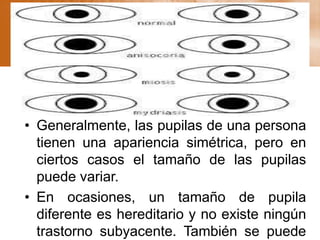 Pupilas
• Generalmente, las pupilas de una persona
tienen una apariencia simétrica, pero en
ciertos casos el tamaño de las pupilas
puede variar.
• En ocasiones, un tamaño de pupila
diferente es hereditario y no existe ningún
trastorno subyacente. También se puede
 