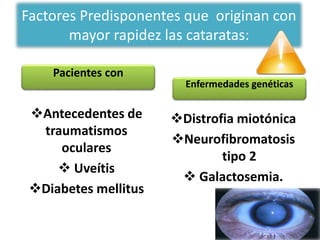 Factores Predisponentes que originan con
mayor rapidez las cataratas:
Distrofia miotónica
Neurofibromatosis
tipo 2
 Galactosemia.
Antecedentes de
traumatismos
oculares
 Uveítis
Diabetes mellitus
Enfermedades genéticas
Pacientes con
 