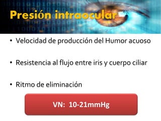 Presión intraocular
• Velocidad de producción del Humor acuoso
• Resistencia al flujo entre iris y cuerpo ciliar
• Ritmo de eliminación
VN: 10-21mmHg
 