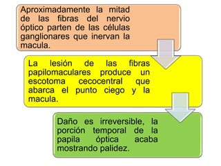 Aproximadamente la mitad
de las fibras del nervio
óptico parten de las células
ganglionares que inervan la
macula.
La lesión de las fibras
papilomaculares produce un
escotoma cecocentral que
abarca el punto ciego y la
macula.
Daño es irreversible, la
porción temporal de la
papila óptica acaba
mostrando palidez.
 