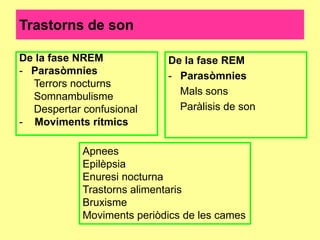 Trastorns de son
De la fase NREM
- Parasòmnies
Terrors nocturns
Somnambulisme
Despertar confusional
- Moviments rítmics

De la fase REM
- Parasòmnies
Mals sons
Paràlisis de son

Apnees
Epilèpsia
Enuresi nocturna
Trastorns alimentaris
Bruxisme
Moviments periòdics de les cames

 