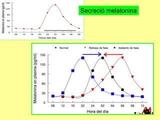 Secreció melatonina

 