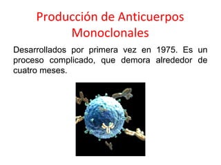 Producción de Anticuerpos
Monoclonales
Desarrollados por primera vez en 1975. Es un
proceso complicado, que demora alrededor de
cuatro meses.
 