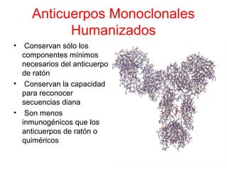 Anticuerpos Monoclonales
Humanizados
• Conservan sólo los
componentes mínimos
necesarios del anticuerpo
de ratón
• Conservan la capacidad
para reconocer
secuencias diana
• Son menos
inmunogénicos que los
anticuerpos de ratón o
quiméricos
 
